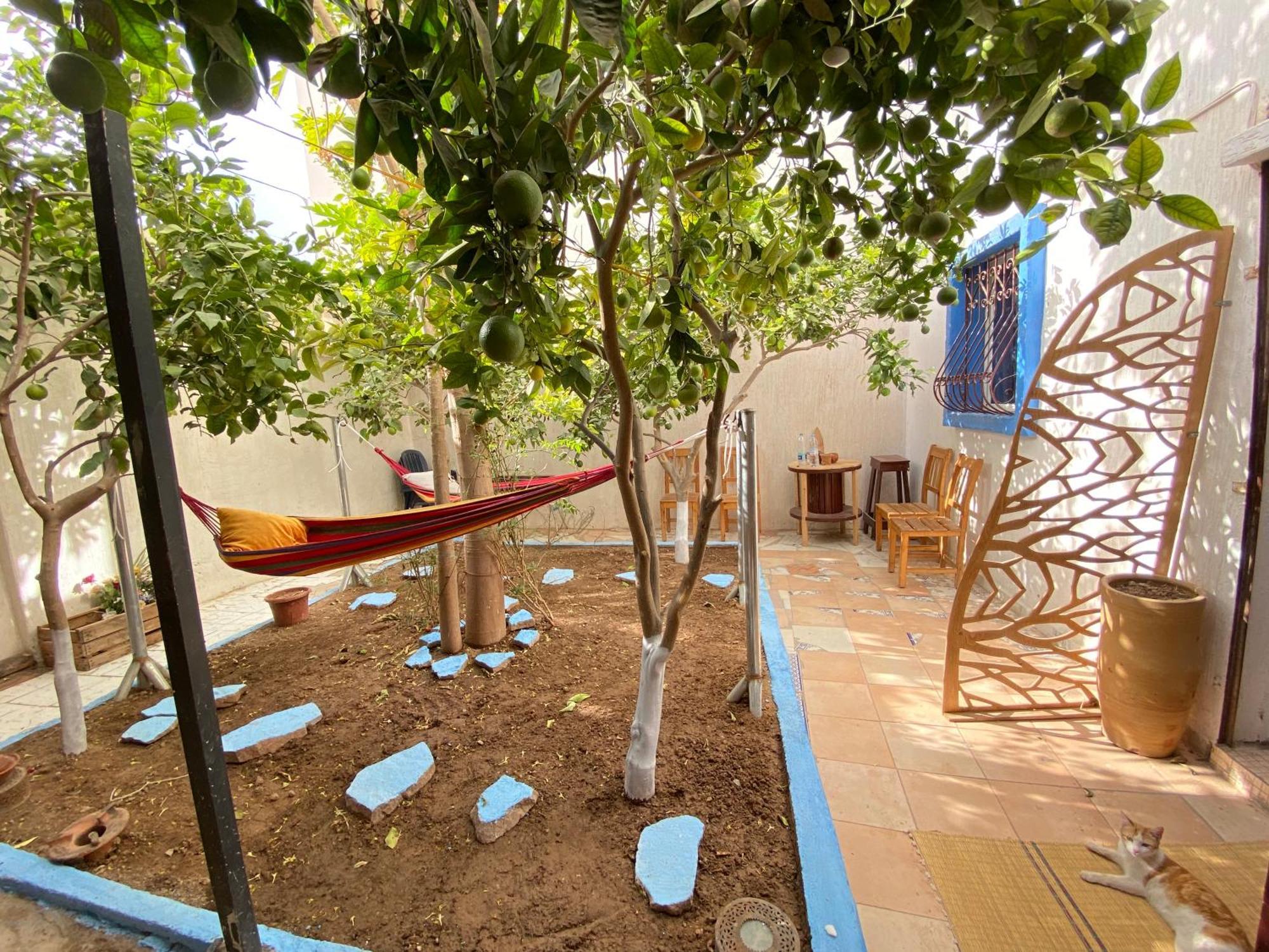 Hotel Red Carpet Surf Camp Sea, Mountain & Garden Escape à Tamraght Extérieur photo